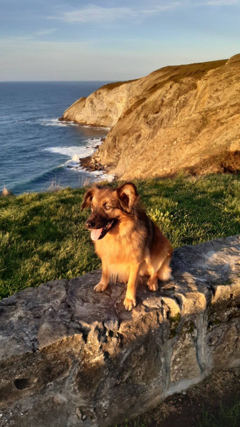 Winter isn’t so bad in the Basque Country